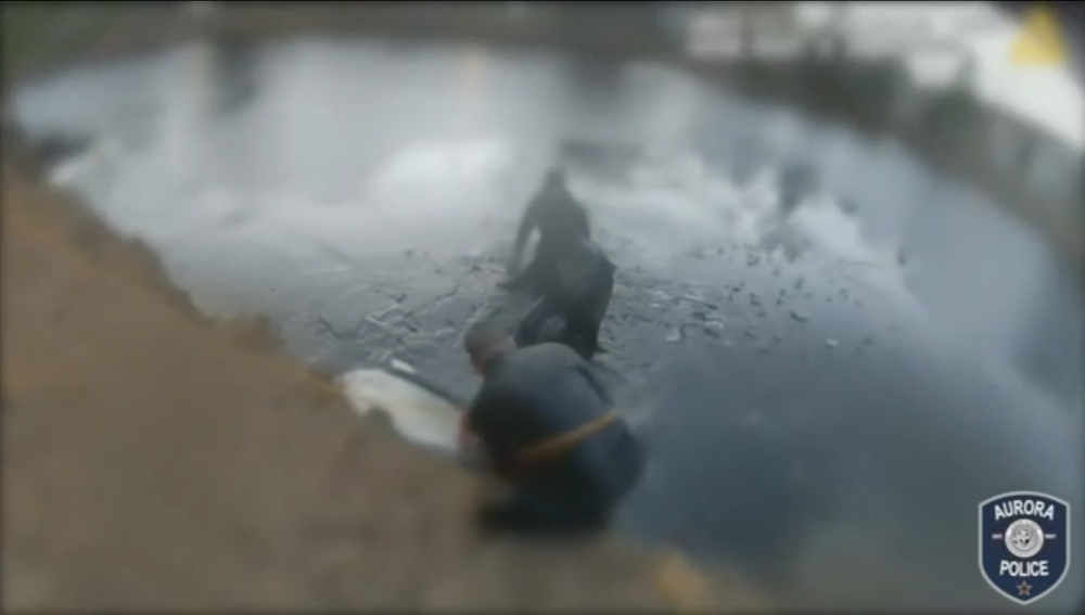 2 Illinois officers hailed for rescuing child, woman from icy pond - Vimarsana News